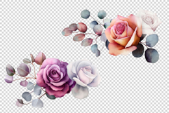 Magenta roses flowers Product Image 18
