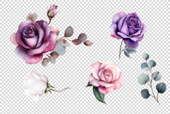 Magenta roses flowers Product Image 4