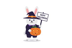 Cute rabbit in a witch costume holding a pumpkin with a Hall Product Image 1