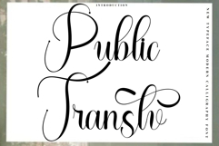 Public Transtv Product Image 1