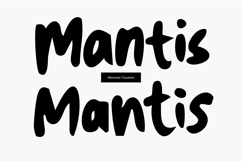 Puckers - Experimental Handwritten Font Product Image 4