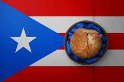 Backgrounds for Photography & Marketing. Puerto Rico Product Image 8