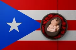 Backgrounds for Photography & Marketing. Puerto Rico Product Image 4