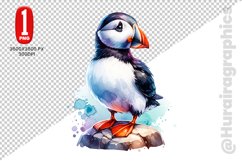 Cute Puffin Clipart - PNG File Product Image 1