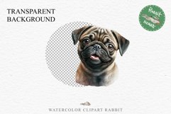 Pug Cute Puppy Baby Dog Animals Clipart PNG Scrapbooking Watercolor  Transparent Print for invitation t-shirt designs sublimation kids printable digital watercolor Baby dog png, watercolor pug puppy clipart, sublimation nursery drawing