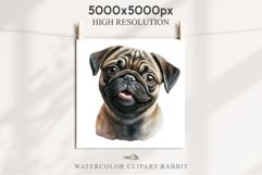 Pug Cute Puppy Baby Dog Animals Clipart PNG Scrapbooking Watercolor  Transparent Print for invitation t-shirt designs sublimation kids printable digital watercolor Baby dog png, watercolor pug puppy clipart, sublimation nursery drawing