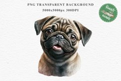 Pug Cute Puppy Baby Dog Animals Clipart PNG Scrapbooking Watercolor  Transparent Print for invitation t-shirt designs sublimation kids printable digital watercolor Baby dog png, watercolor pug puppy clipart, sublimation nursery drawing