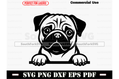 Peeking Pug Dog SVG PNG DXF EPS PDF Product Image 1