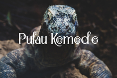 Pulau Komodo Font Product Image 9