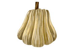 Pumpkin Set. Harvest Vegetable Autumn Illustration Product Image 6
