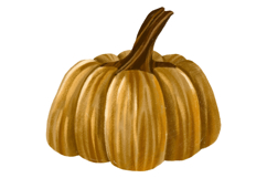 Pumpkin Set. Harvest Vegetable Autumn Illustration Product Image 5