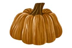 Pumpkin Set. Harvest Vegetable Autumn Illustration Product Image 4