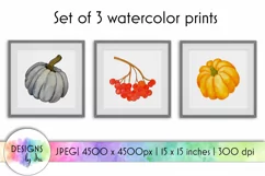 Set of 3 Watercolor Pumpkin Prints | Wall Art Prints Product Image 1