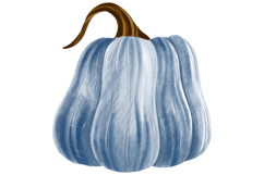 Pumpkin Set. Harvest Vegetable Autumn Illustration Product Image 3