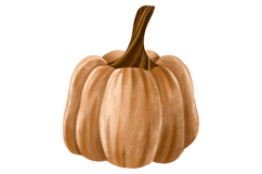Pumpkin Set. Harvest Vegetable Autumn Illustration Product Image 2