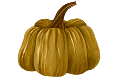 Pumpkin Set. Harvest Vegetable Autumn Illustration Product Image 7