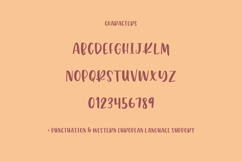 Pumpkin Chunk Font Product Image 10