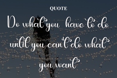 Pumpkin December Product Image 4