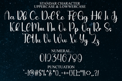 Pumpkin December Product Image 7