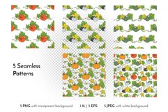 Pumpkin - Line Art and Colorful Vector Clipart and Patterns