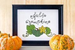 Pumpkin - Line Art and Colorful Vector Clipart and Patterns