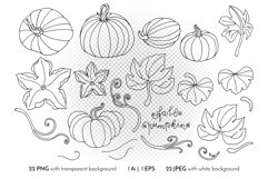 Pumpkin - Line Art and Colorful Vector Clipart and Patterns