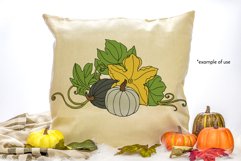 Pumpkin - Line Art and Colorful Vector Clipart and Patterns