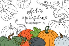 Pumpkin - Line Art and Colorful Vector Clipart and Patterns