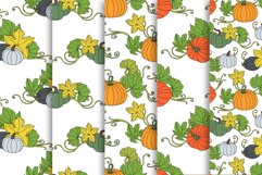 Pumpkin - Line Art and Colorful Vector Clipart and Patterns