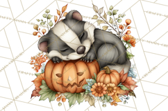 Pumpkin Patch Pals, Fall Woodland Animal Clipart PNG Product Image 4
