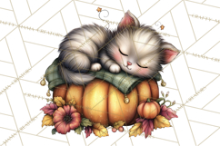 Pumpkin Patch Pals, Fall Woodland Animal Clipart PNG Product Image 5