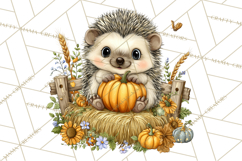 Pumpkin Patch Pals, Fall Woodland Animal Clipart PNG Product Image 4