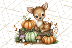 Pumpkin Patch Pals, Fall Woodland Animal Clipart PNG Product Image 4