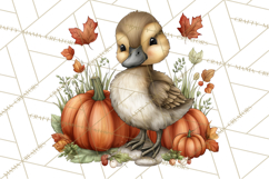 Pumpkin Patch Pals, Fall Woodland Animal Clipart PNG Product Image 5