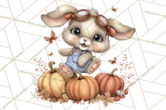 Pumpkin Patch Pals, Fall Woodland Animal Clipart PNG Product Image 4