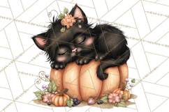 Pumpkin Patch Pals, Fall Woodland Animal Clipart PNG Product Image 5