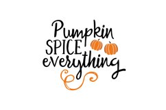 Pumpkin Spice Everything Product Image 1