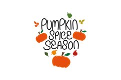 Pumpkin Spice Season Product Image 1
