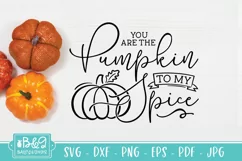 You Are the Pumpkin To My Spice - Fall Quote SVG Cut File