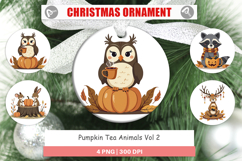 Ornament Pumpkin Tea Animals Product Image 1