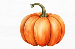 Pumpkin Watercolor Sublimation clipart Product Image 3