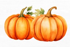 Pumpkin Watercolor Sublimation clipart Product Image 4