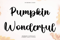 Pumpkin Wonderful Product Image 1