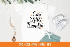 Our Little Pumpkin is turning two SVG. Baby 2nd birthday Product Image 2