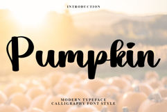 Pumpkin Product Image 1