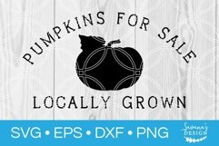 Pumpkins for Sale SVG Farmhouse Cut File Farm Clipart DXF Product Image 1