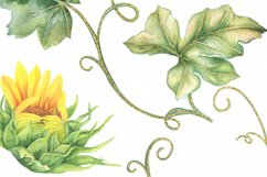 Pumpkins Sunflowers Leaves Gold Frame Watercolor Clipart PNG Product Image 3