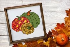 Pumpkins Sublimation | Animal Print Pumpkin | Fall Print Product Image 1
