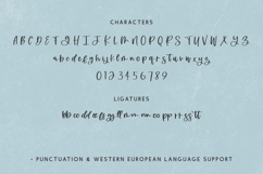 Punchdrunk Script Font Product Image 10