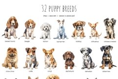 Watercolor dog breeds clipart. Puppies clipart. Dogs clipart Product Image 2